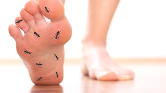 Diabetischer Fuß: Symptome | Diabetischer-Fuß